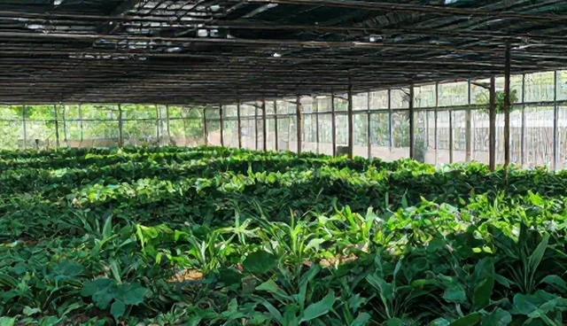 系统运维中如何实现技术优化？