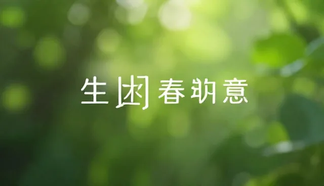 用户参与不足如何提升新媒体运营效果