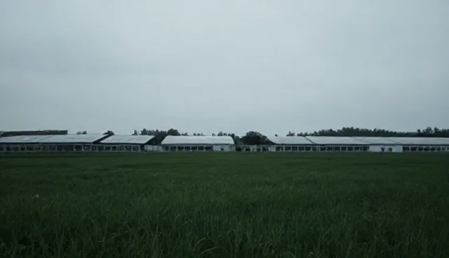系统集成解决方案的适用场景与限制分析