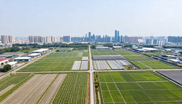 如何降低企业流量成本？算法推荐如何发挥作用？