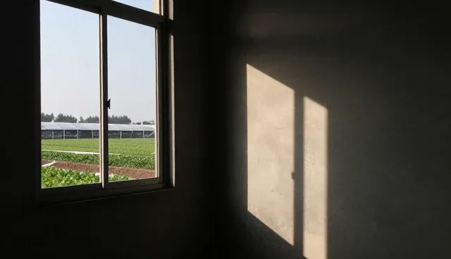 架构设计中选型分析的两种做法与实际取舍