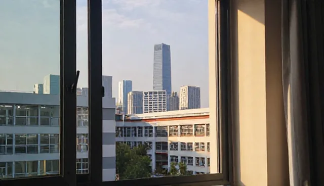 企业管理系统方案设计：性能与适用条件的比较