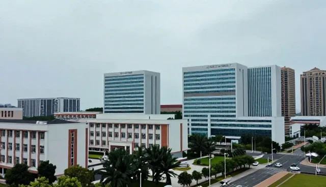 企业策划服务适用场景与限制条件分析