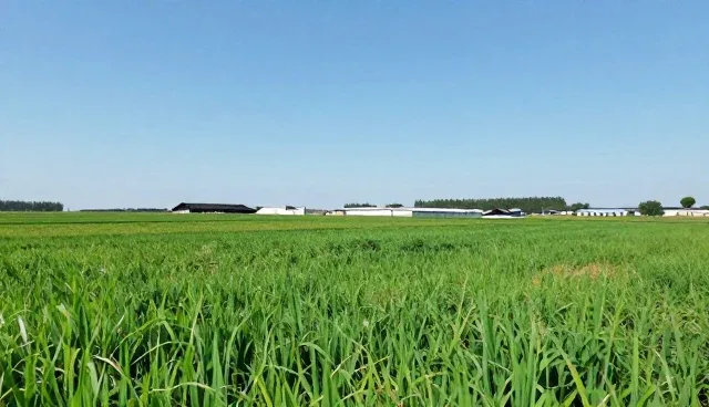 信息技术支持在性能与适用条件中的实际问题及处理方向
