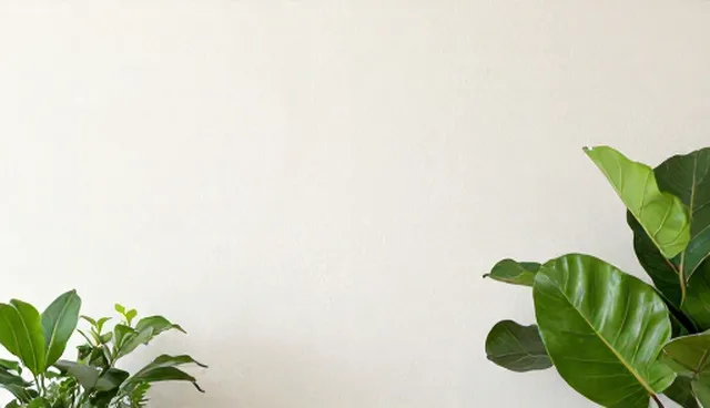 运维服务技术更新滞后，如何应对性能与适用条件问题
