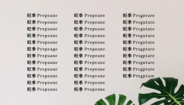 电商运营中文心一言提示词理解偏差问题及处理方向