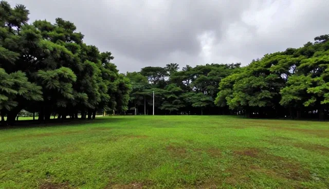 包头网站设计公司如何选择高级推广套餐