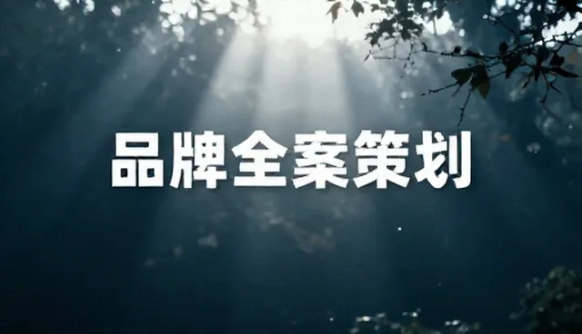 品牌全案策划中常见问题处理要点解析