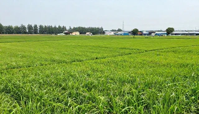 运维托管培训中检查要点的实践应用