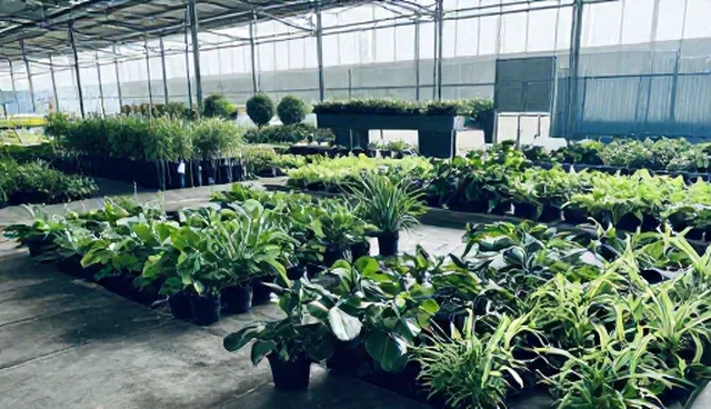 农资管理中基地合作对供应稳定性的影响