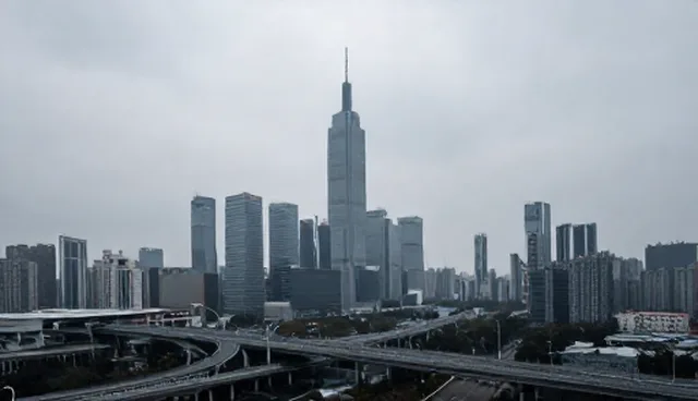 系统开发与定制的适用条件及选择依据