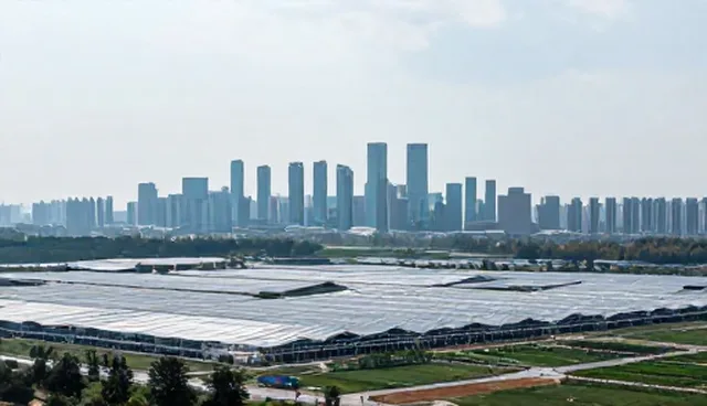 智能运维平台如何通过维护策略优化系统稳定性