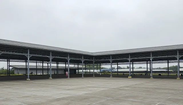 婚礼策划提示词使用中的理解偏差与纠正
