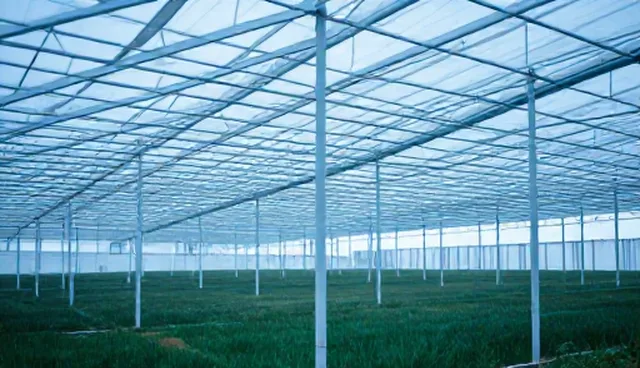 系统集成中技术支持的选型与使用建议