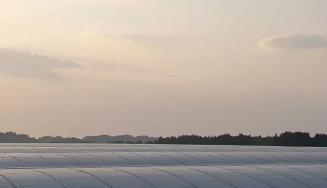 运维服务选型建议：自主运维与外包模式的对比分析