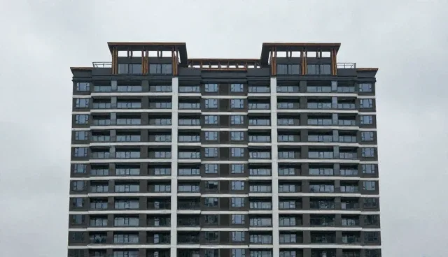 技术转让中的能力建设：性能与适用条件的取舍