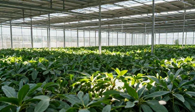 智能设备集成方案的使用与维护建议