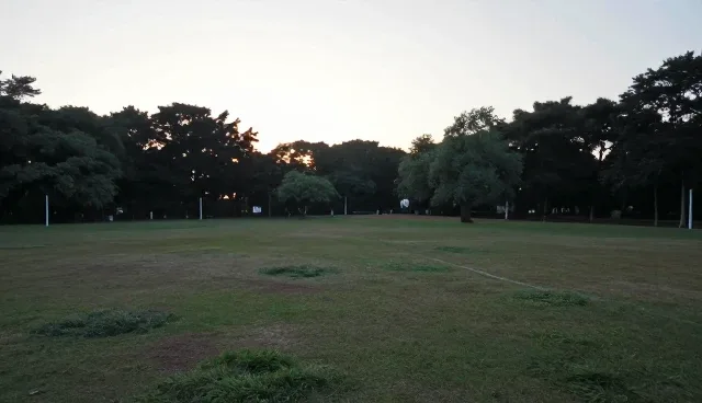 湖南网站推广如何影响企业推广策略