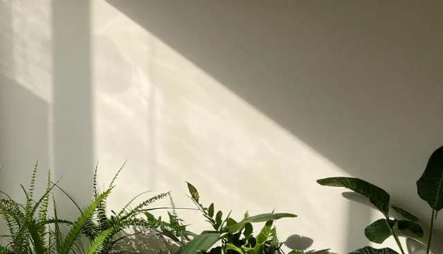 设备维护中的应用场景与使用建议