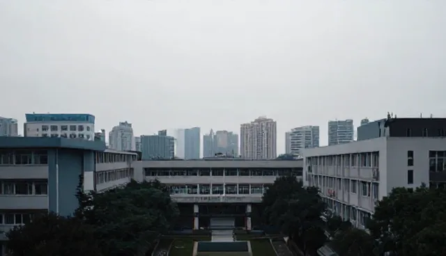 数据采集分析在提升运维效率中的关键作用