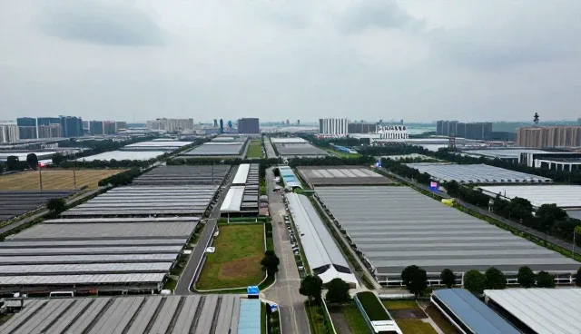 企业IT运维平台应用中的常见问题与处理要点