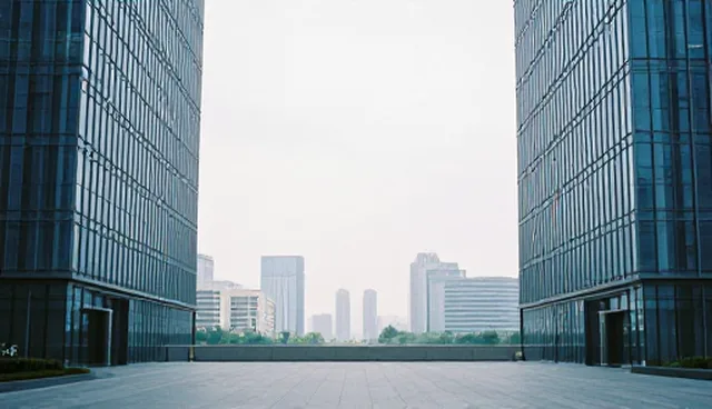 如何解决客户定制服务中的限制条件？