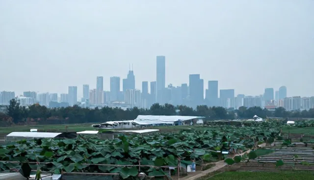 系统集成理解偏差如何影响企业实践
