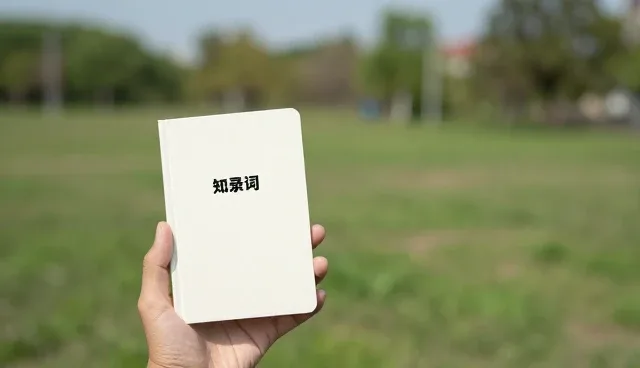 考公提示词如何提升答题效率与精准度