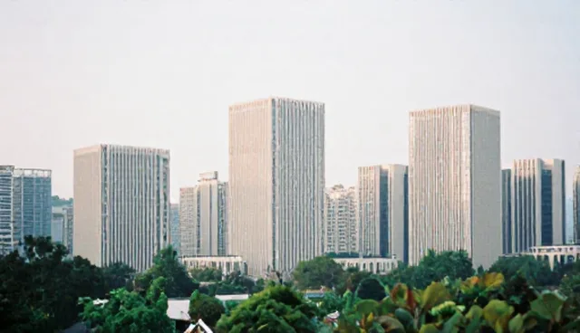 信息技术研发中性能差异的成因分析