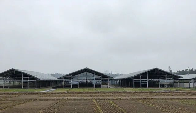 空间规划：艺术展览执行服务中的文化空间运营策略
