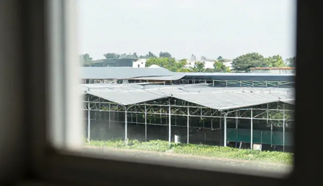 短视频拍摄套餐在视觉传达中的实际应用与效果