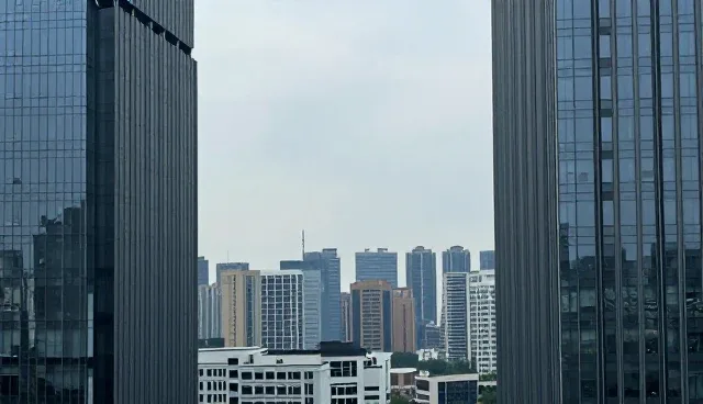 企业信息管理系统检查要点与适用限制分析