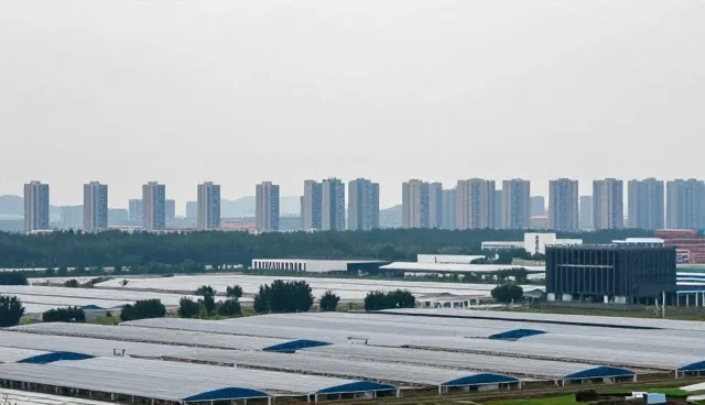 企业流程优化方案选型关注点及使用建议