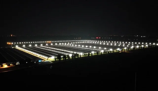 商务代理服务中的团队建设问题分析与应对策略