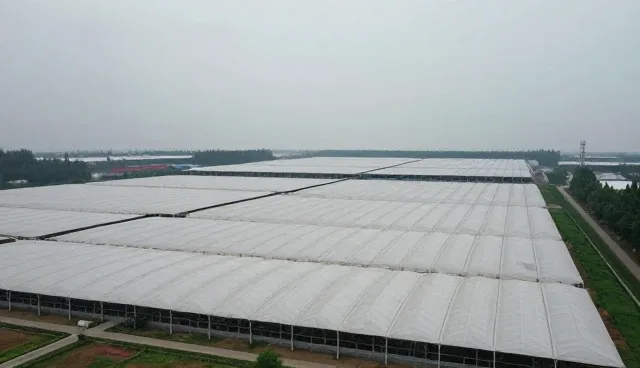 网络较为完善下常见问题的管理流程
