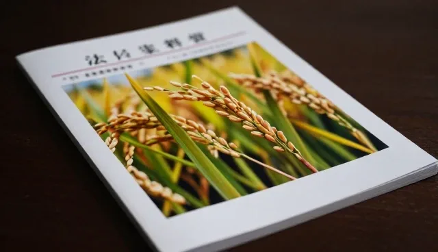 种植技术指导中两种做法的比较与实际取舍