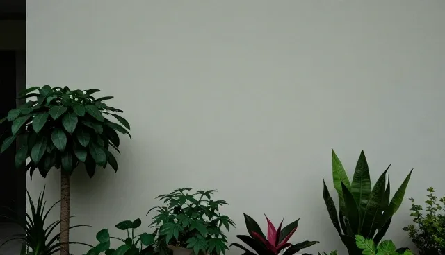 效率优化中技术支持与培训的使用优化