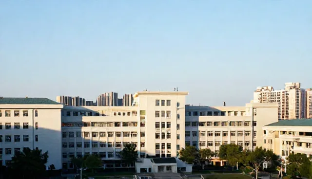 技术外包方案选型与实施建议