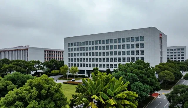 技术外包：系统效率提升的具体分析
