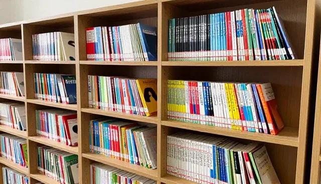 如何提升教学效率？地区差异如何影响教学效果？
