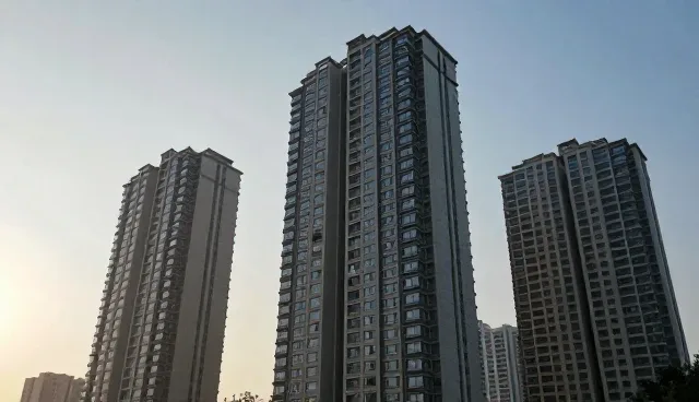 售后支持中需求反馈的适用情况与限制