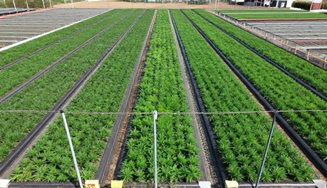 项目施工管理中的设备选型关键环节解析