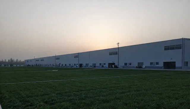 绿化养护缺失如何影响保洁质量