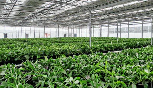 短视频拍摄中的检查要点与选型关注点