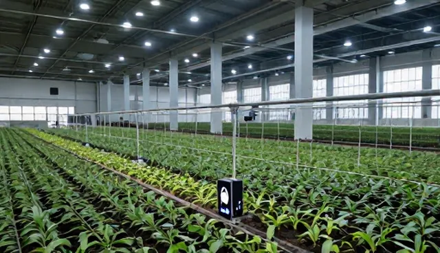 加工工艺在配送服务中的适用情况与限制