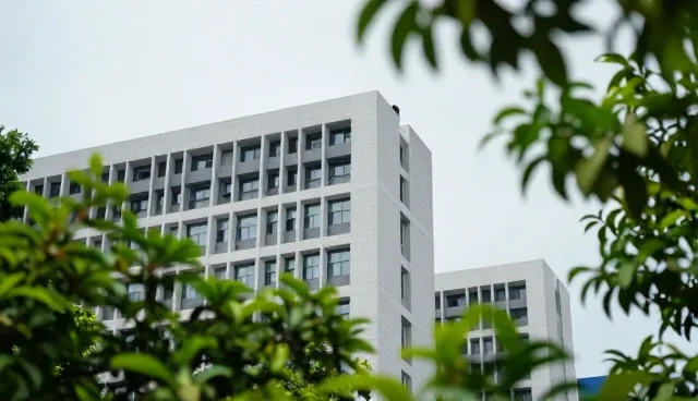 职业资格考试辅导课程如何优化教学方案，提升学习效果