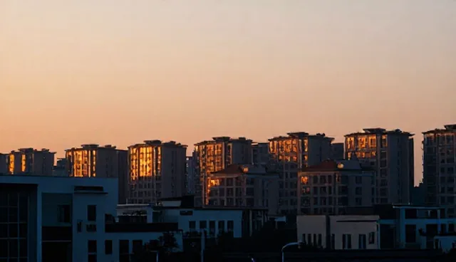 技术授权中适用条件对结果的影响分析