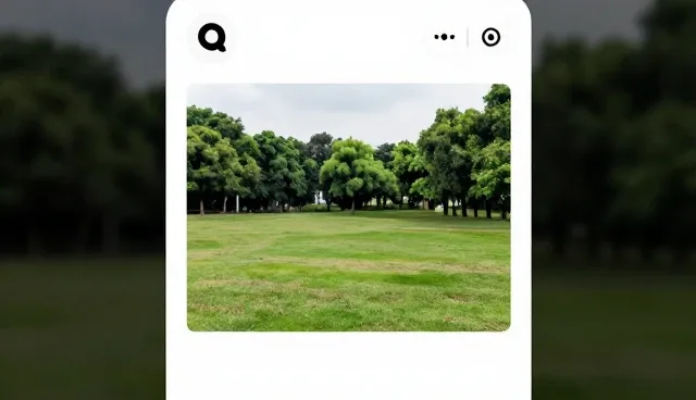 化方案选择依据：如何合理选用小程序开发方案