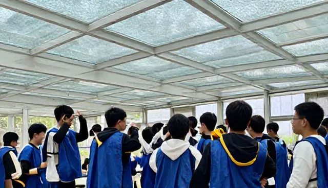 学习支持服务如何帮助学生提升学习效率？