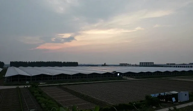 设施维护服务中应急处理如何提升响应效率？